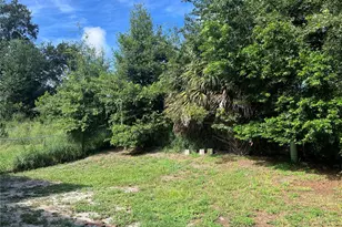 805 Sleepy Harbour Dr, Ocoee, FL 34761 - Photo 17