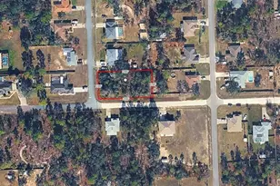 10450 Golden Warbler Rd, Brooksville, FL 34613 - Photo 1