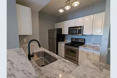 14229 Falls Church Drive #1715, Orlando, FL 32837 - Photo 3