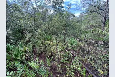 604 Del Monaco Ave, Interlachen, FL 32148 - Photo 59