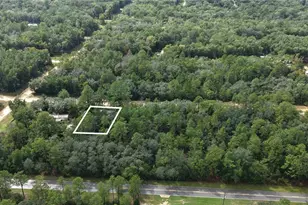 604 Del Monaco Ave, Interlachen, FL 32148 - Photo 1