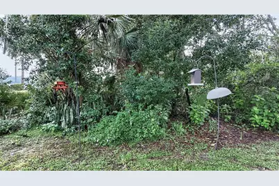 3029 Pine Cove Place, Eustis, FL 32726 - Photo 41