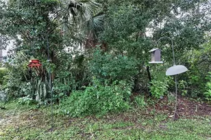 3029 Pine Cove Pl, Eustis, FL 32726 - Photo 41
