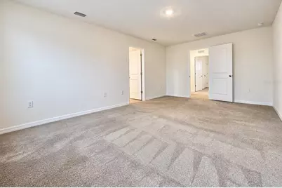 16535 Windmill Forge Pass, Wimauma, FL 33598 - Photo 19
