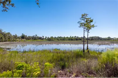 468 Black Lake Road, Osteen, FL 32764 - Photo 65