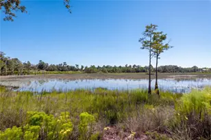 468 Black Lake Rd, Osteen, FL 32764 - Photo 65
