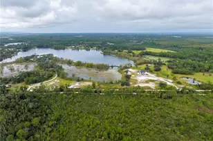 468 Black Lake Rd, Osteen, FL 32764 - Photo 67