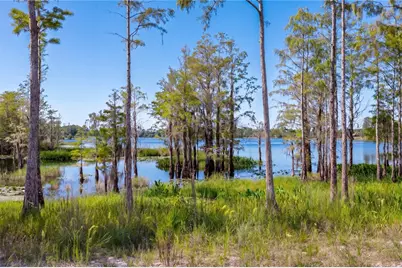 468 Black Lake Road, Osteen, FL 32764 - Photo 55