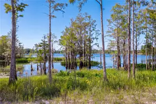 468 Black Lake Rd, Osteen, FL 32764 - Photo 55