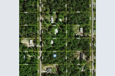 10100 Vaughan Avenue, Hastings, FL 32145 - Photo 3