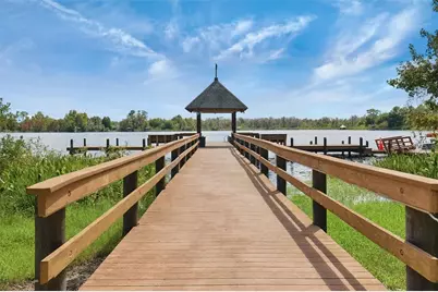 7627 Blue Spring Drive, Land O Lakes, FL 34637 - Photo 3
