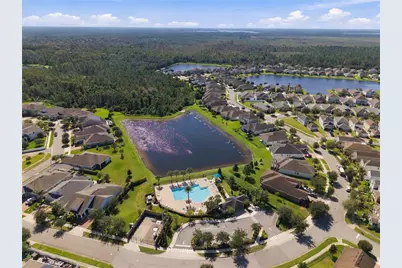 11103 Sweetgum Woods Drive, Orlando, FL 32832 - Photo 51