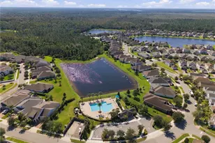 11103 Sweetgum Woods Dr, Orlando, FL 32832 - Photo 51