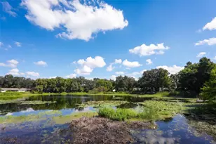 4507 Deede Ln, Orlando, FL 32806 - Photo 19