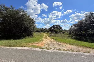 10306 Dwights Rd, Clermont, FL 34714 - Photo 1