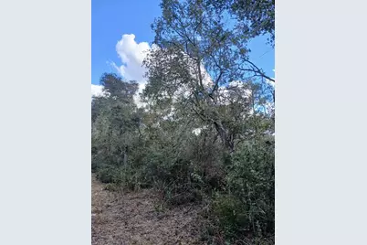 Tbd NE 234 Th Place #Lots 19.20.21, Fort Mc Coy, FL 32134 - Photo 3