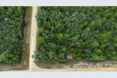 N/A Selma Ave, Interlachen, FL 32148 - Photo 21