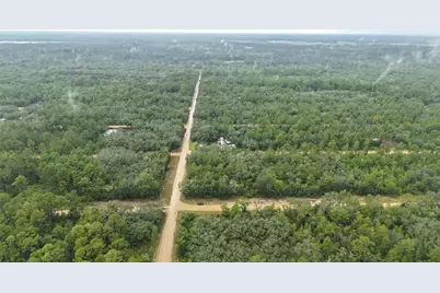 N/A Selma Ave, Interlachen, FL 32148 - Photo 3
