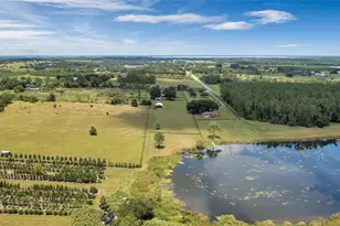 24340 Turkey Lake Rd, Howey in the Hills, FL 34737 - Photo 41