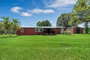 24340 Turkey Lake Rd, Howey in the Hills, FL 34737 - Photo 3