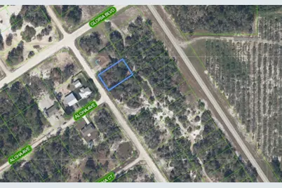 516 Morningside Drive, Lake Placid, FL 33852 - Photo 3