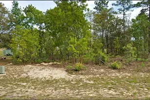 2507 W Wilmington Loop, Citrus Springs, FL 34434 - Photo 1