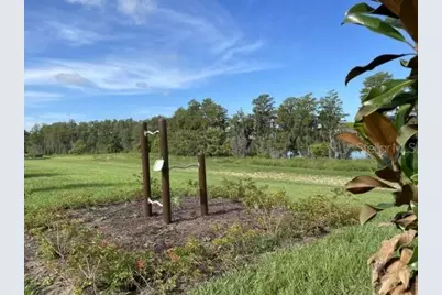 12202 Plumpton Drive, Winter Garden, FL 34787 - Photo 23