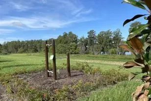 12202 Plumpton Dr, Winter Garden, FL 34787 - Photo 23