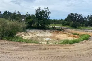 129 SE 122nd Avenue\, Old Town, FL 32680 - Photo 9