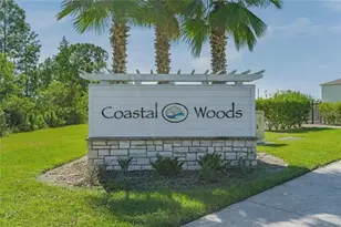 3106 Crab Trap Dr, New Smyrna Beach, FL 32168 - Photo 29
