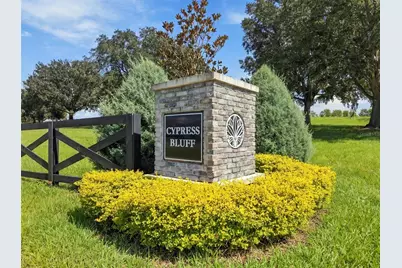 325 Fox Ridge Drive, Groveland, FL 34736 - Photo 13
