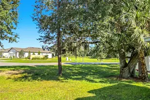 2733 Rivkin Dr, Kissimmee, FL 34758 - Photo 13