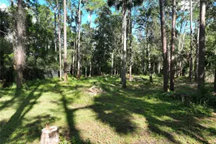 1205 Cupid Ave, Christmas, FL 32709 - Photo 63