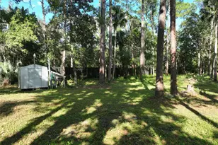 1205 Cupid Ave, Christmas, FL 32709 - Photo 61