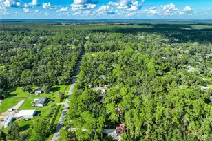 1205 Cupid Ave, Christmas, FL 32709 - Photo 5