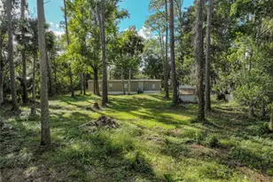 1205 Cupid Ave, Christmas, FL 32709 - Photo 69