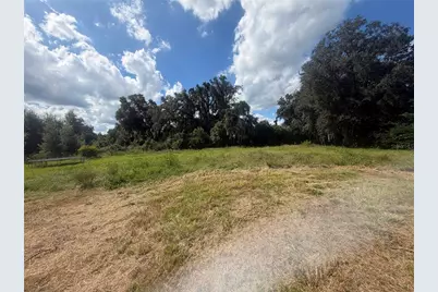 4909 Merrin Road, Plant City, FL 33565 - Photo 27
