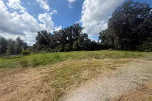 4909 Merrin Rd, Plant City, FL 33565 - Photo 27