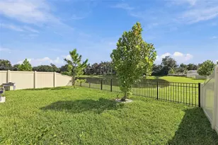3708 Radiant Mountain Dr, Plant City, FL 33565 - Photo 37
