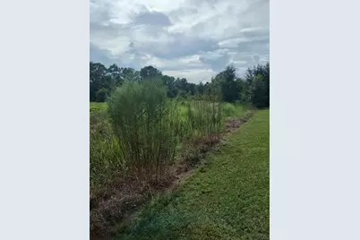 2900 W Shula Road, Avon Park, FL 33825 - Photo 1