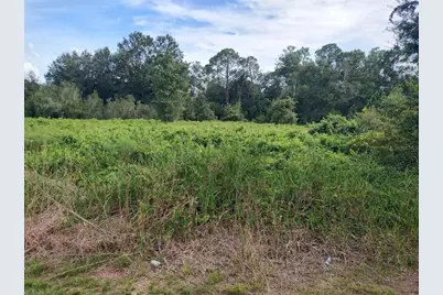 2900 W Shula Road, Avon Park, FL 33825 - Photo 11