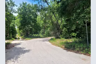 Tropical Drive, Eustis, FL 32726 - Photo 5