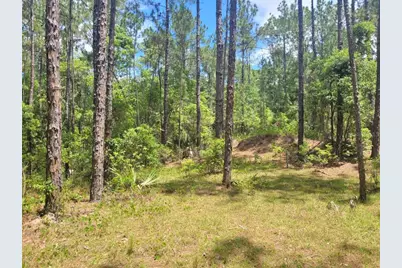 Tropical Drive, Eustis, FL 32726 - Photo 13