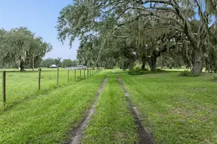 1017 Sloans Ridge Rd, Groveland, FL 34736 - Photo 37