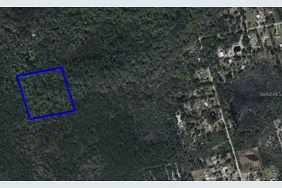 095 Pine Needle Road, Mims, FL 32754 - Photo 3