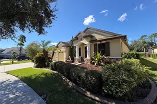 20009 Outpost Point Dr, Tampa, FL 33647 - Photo 27