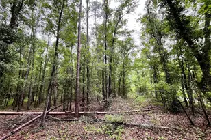 1874 SW Nautilus Rd, Lake City, FL 32024 - Photo 21