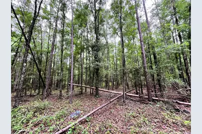 1874 SW Nautilus Road, Lake City, FL 32024 - Photo 25