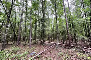 1874 SW Nautilus Rd, Lake City, FL 32024 - Photo 25