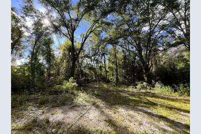 1874 SW Nautilus Road, Lake City, FL 32024 - Photo 11